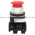 Allen Bradley 800TC-FX6A Pushbutton | Finger Safe Product Image