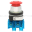 Allen Bradley 800TC-FX6D2V Pushbutton | Finger Safe Product Image