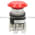Allen Bradley 800TC-FXJ6A5 Pushbutton | Finger Safe Product Image