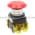 Allen Bradley 800TC-FXJ6A5S Pushbutton | Finger Safe Product Image