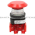 Allen Bradley 800TC-FXJ6D2 Pushbutton | Finger Safe Product Image
