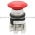 Allen Bradley 800TC-FXJT6A5 Pushbutton | Finger Safe Product Image