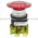 Allen Bradley 800TC-FXLE6D4S Pushbutton | Finger Safe Product Image