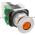 Allen Bradley 800TC-FXQ24AA1 Pushbutton | Finger Safe Product Image