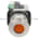 Allen Bradley 800TC-FXQ24AA1 Pushbutton | Finger Safe Product Image