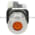 Allen Bradley 800TC-FXQ24AA5 Pushbutton | Finger Safe Product Image