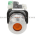 Allen Bradley 800TC-FXQH10AA1 Pushbutton | Finger Safe Product Image