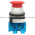 Allen Bradley 800TC-FXT6D4V Pushbutton | Finger Safe Product Image