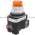 Allen Bradley 800TC-PT16A Pilot Light | Finger Safe Product Image