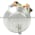 Allen Bradley 8400-XHP Encoder Product Image