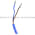 Allen Bradley 871C-DH5M18-A2 Proximity Switch Product Image