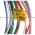 Allen Bradley 888N-M12AE1-1F Receptacle Product Image