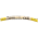 Allen Bradley 889DS-F5AC-5 Cordset Product Image
