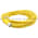Allen Bradley 889M-F12AH-15 M23 Cable Product Image