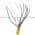 Allen Bradley 889N-F9AF-10 Cordset Product Image