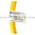 Allen Bradley 889N-U8AF-5 Cordset Product Image