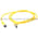 Allen Bradley 889P-F3ABPE- 1 Pico Cable Product Image