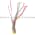 Allen Bradley 889RS-R6ECA-2 QD Cordset Product Image