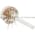 Allen Bradley JAIN200P753UA Potentiometer Product Image