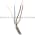 Banner S18SP6FF50-30325 Fixed Field Sensor | EZ-BEAM Product Image