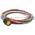 Brad Harrison 3R9004A20M020 Cordset Assembly Product Image