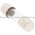 Bussmann GMC-100-R Miniature Fuse Product Image