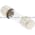 Bussmann GMC-5-R Miniature Fuse Product Image