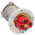 Crouse Hinds ARL2042 ArkTite M80 Receptacle Assembly Product Image