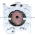 Cutler-Hammer 10250T111 Push Button Product Image