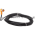 Efector EVS005 Female Cordset | ADOAH030ZDB0005E03 Product Image