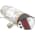 Efector PN5002 Pressure Monitor | PN-100-SBR14-HFPKG/US/ /V Product Image