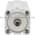 Festo ADN-S-50-50-I-P-A Compact Air Cylinder Product Image