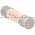 Gould TRM1-8/10 Fuse Product Image
