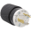 Hubbell 70530NP L5-30P Locking Plug Product Image