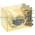 Idec RR3B-UAC120V Relay Product Image
