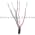 Keyence PZ-101P Photoelectric Sensor Product Image