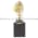 Kostek Engineering 2442 Carbon Motor Brush Assembly Product Image