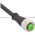 Leuze K-D M12A-5P-2M-PVC Connection Cable Product Image