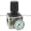 Numatics R22R-04G Regulator Assembly Product Image