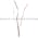 Omron TL-W1R5MC1 Proximity Switch 12 to 24 VDC Product Image