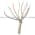 Pepperl+Fuchs AVM58N-011K1R0GN-1212 Encoder Absolute Product Image