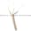 PHD 17509-1-06 Proximity Sensor Product Image