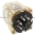 Potter & Brumfield KRP5D-110 Relay | 272 Product Image