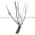 Sick OD25-05P132 Product Image