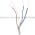 Sick VL180-2N41162 Photoelectric Sensor Product Image