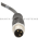 Sick WL2S-2F3130 Photoelectric Sensor | 1064593 Product Image