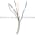 Sick WLL160-F122 Photoelectric Fiber Optic | 6009989 Product Image