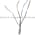 Sick WLL170T-2P132 Fiber-Optic Sensor | 6033948 Product Image