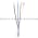 Sick WT1000-N112 Photoelectric Proximity Sensor | 7023813 Product Image