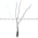 Sick WTB15-P1131 Photoelectric Sensor Product Image
